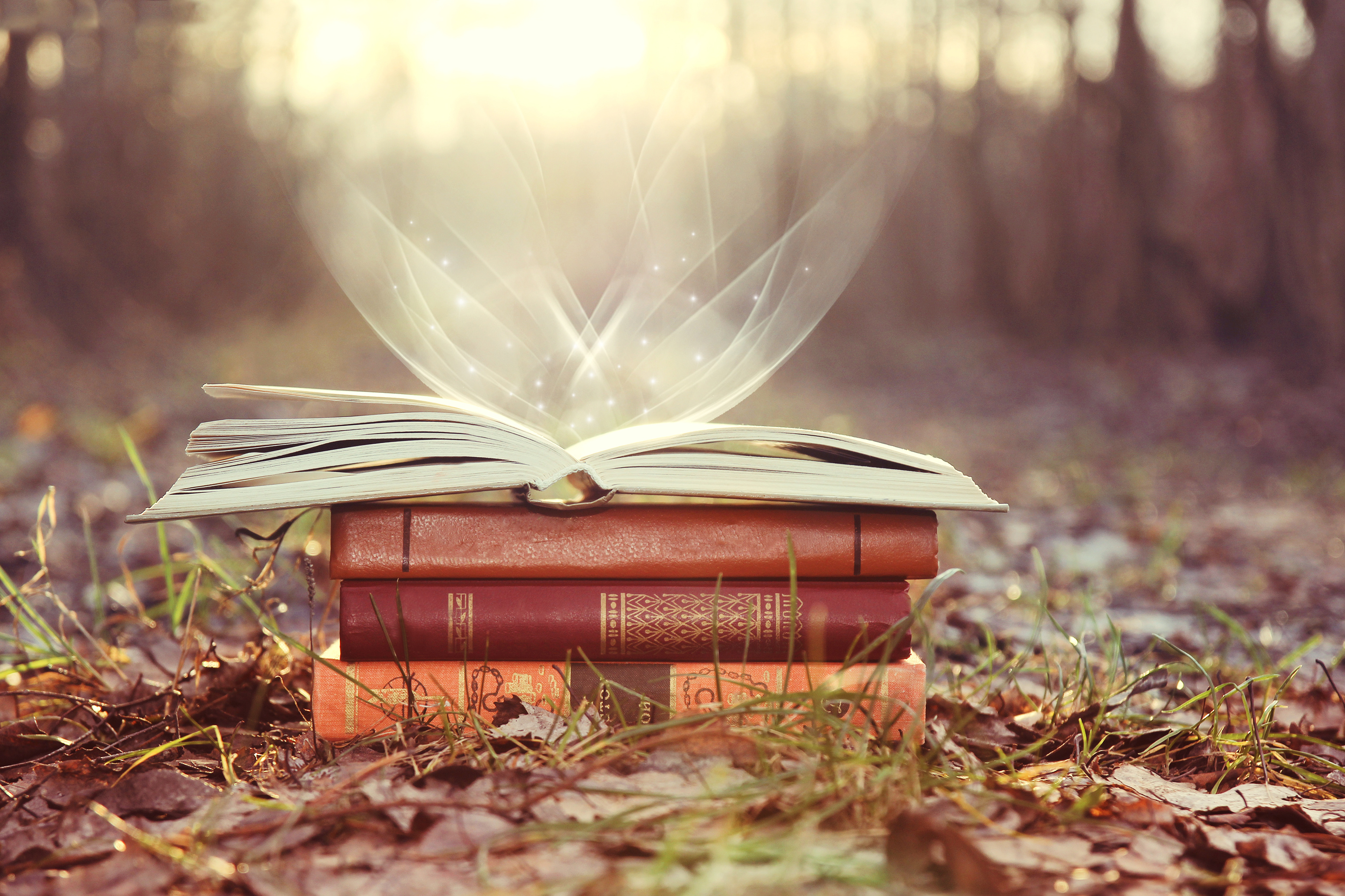 Books on nature sunny background. Sunny day. Mystic day. Mystic books